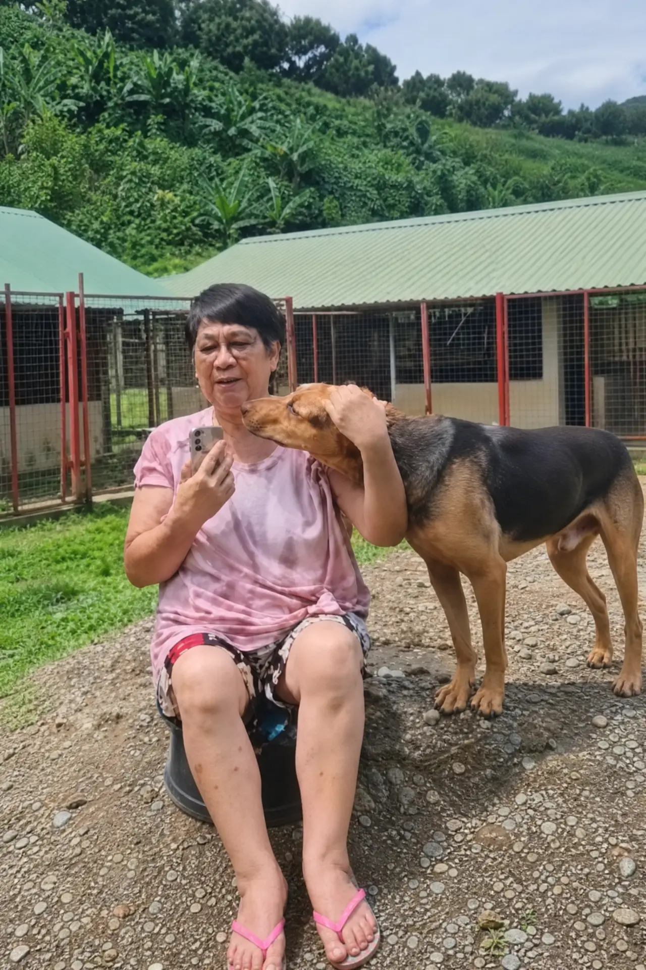 Voluntária acolhendo um cão resgatado no abrigo